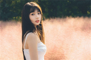 天气预报在上海自然灾害应对中的应用